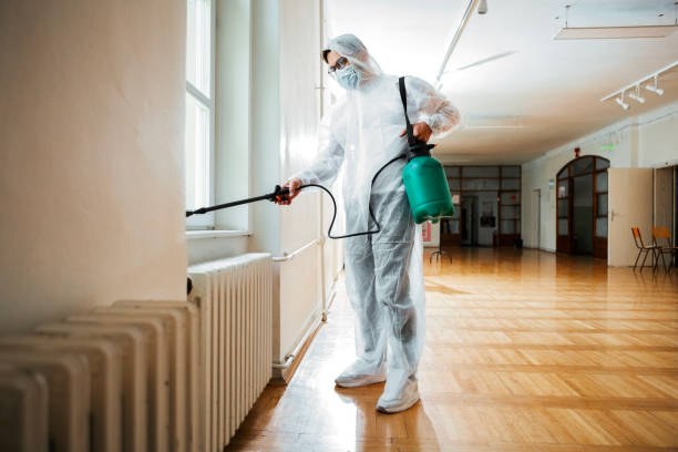 Best Fumigation Services  in Kalkaska, MI